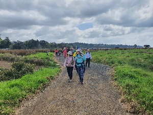 Image of whitfordsep25b.jpg