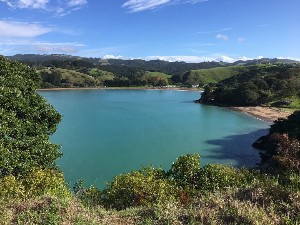 Image of whjangaroaapr25c.jpg